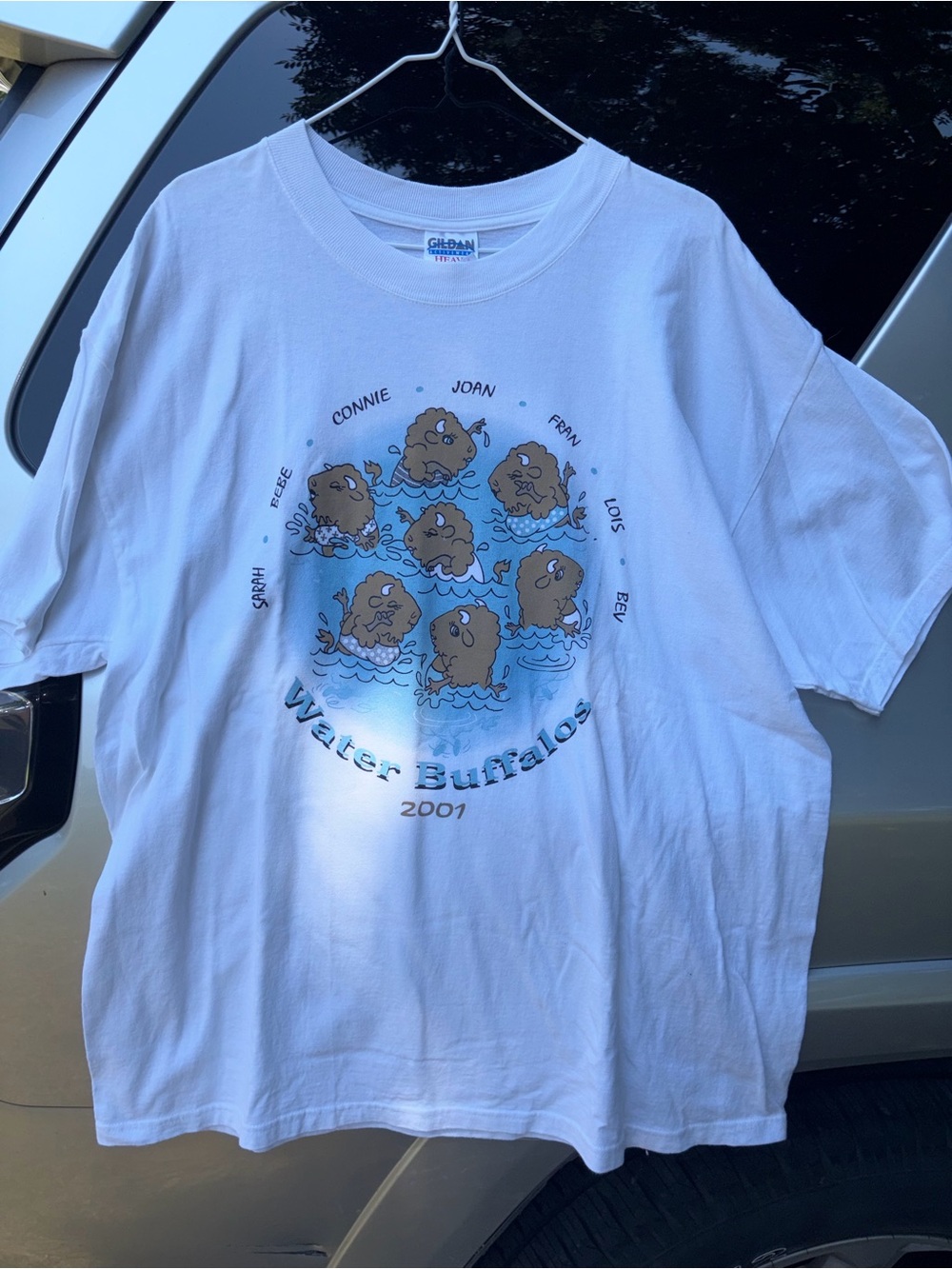 Early 2000s water Buffalos' Graphic Tee dated 2001